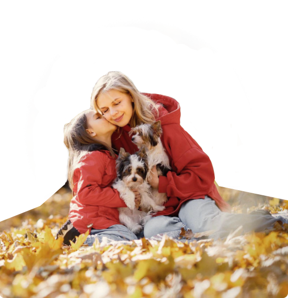 WG����(�й���)-�ٷ���վ