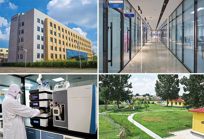 WG����(�й���)-�ٷ���վ