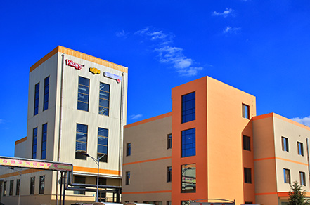 WG����(�й���)-�ٷ���վ