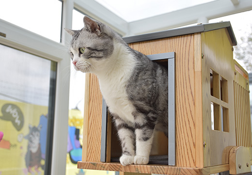 WG����(�й���)-�ٷ���վ