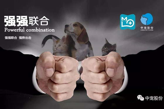 WG����(�й���)-�ٷ���վ