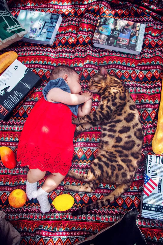 WG����(�й���)-�ٷ���վ