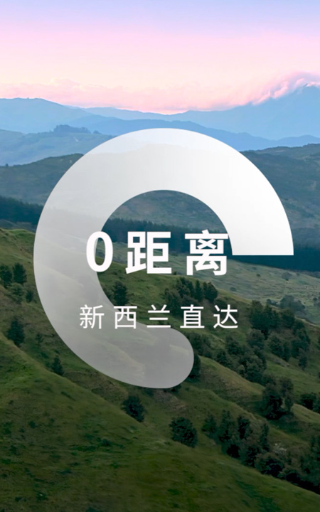 WG���ӹ���