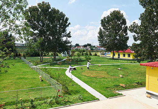 WG����(�й���)-�ٷ���վ