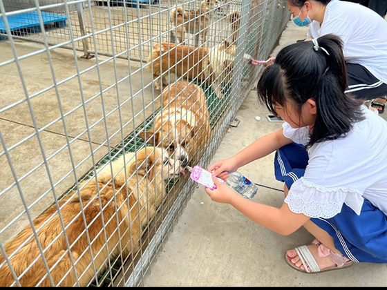 WG����(�й���)-�ٷ���վ