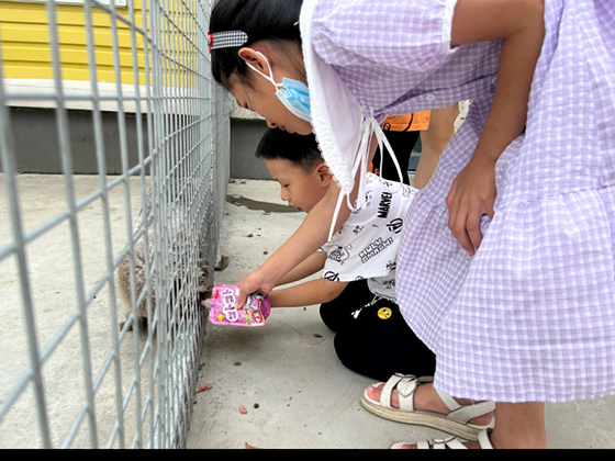 WG����(�й���)-�ٷ���վ