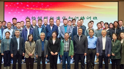 WG����(�й���)-�ٷ���վ