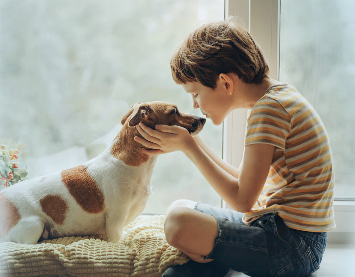 WG���ӹ���