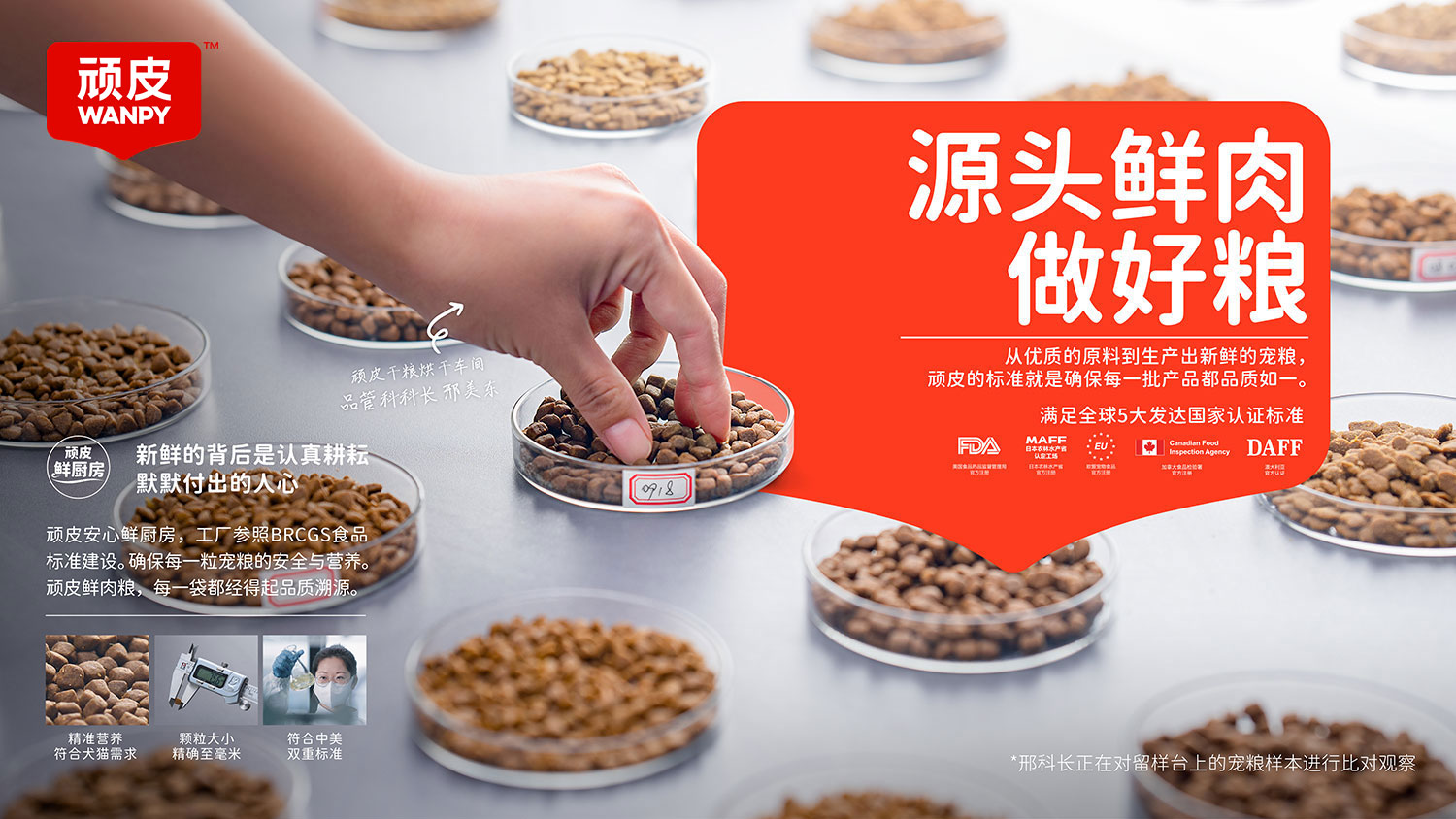 WG����(�й���)-�ٷ���վ